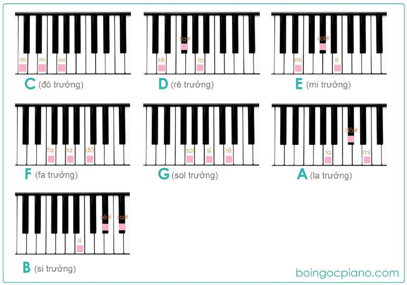 Hop-am-Truong-Hop-am-Piano-co-ban.jpg